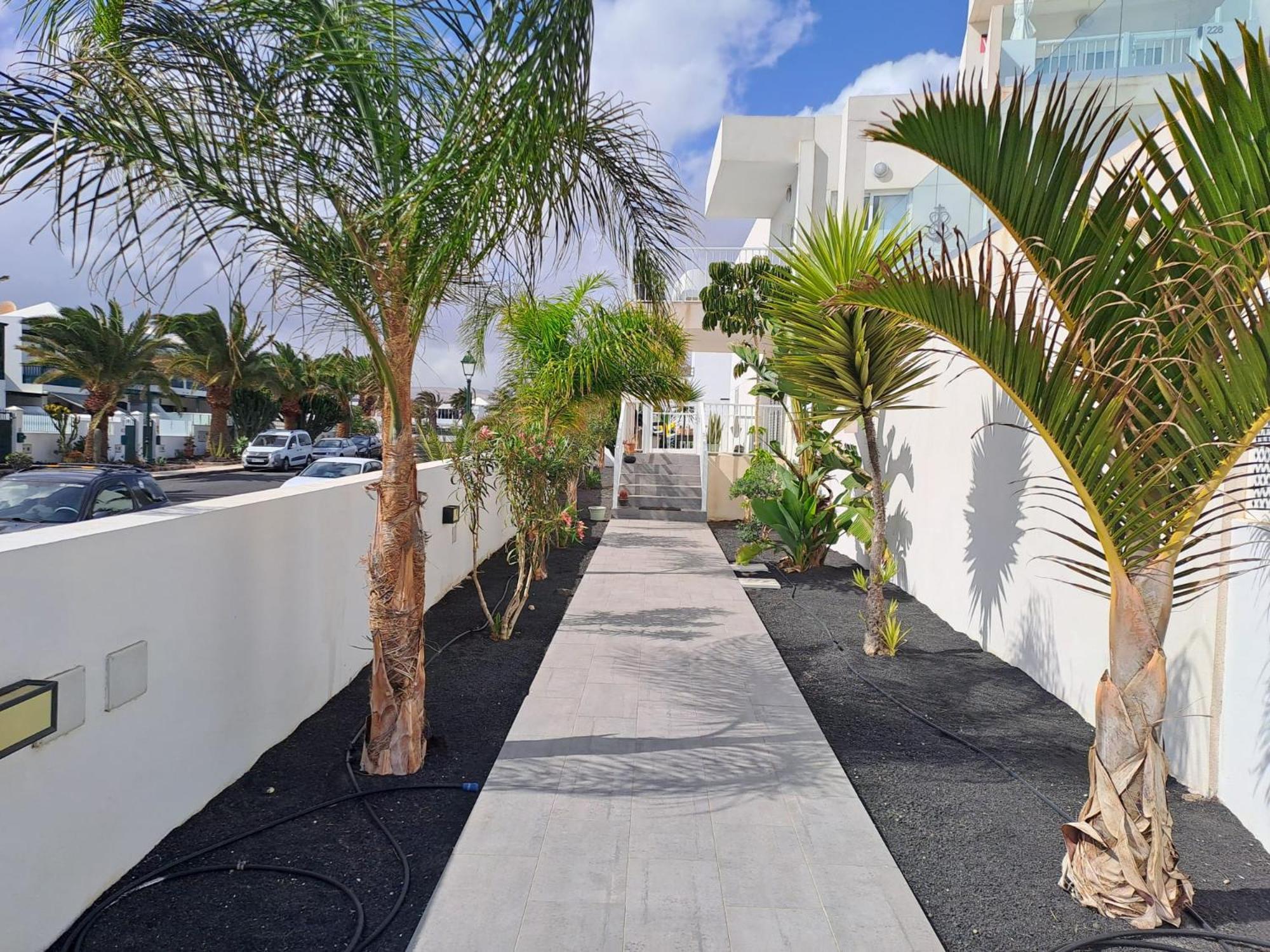 Luxury Sea View Senator Lanzarote Lägenhet Costa Teguise Exteriör bild